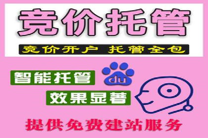 抖音信息流代理在电商行业的应用案例分析